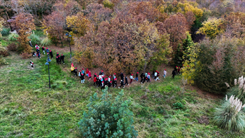 DJI_20241111200535_0030_D.JPG